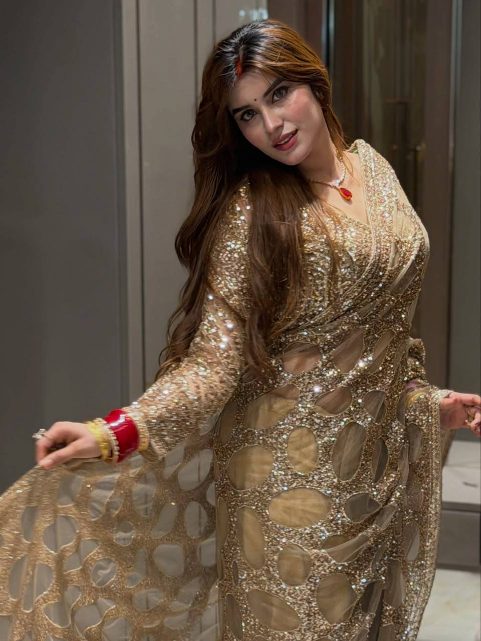 Ruhani Heavy Butterfly Net Designer Saree